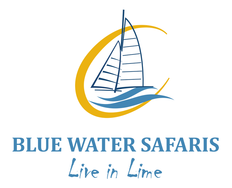 About Blue Water Safaris | Blue Water Safaris